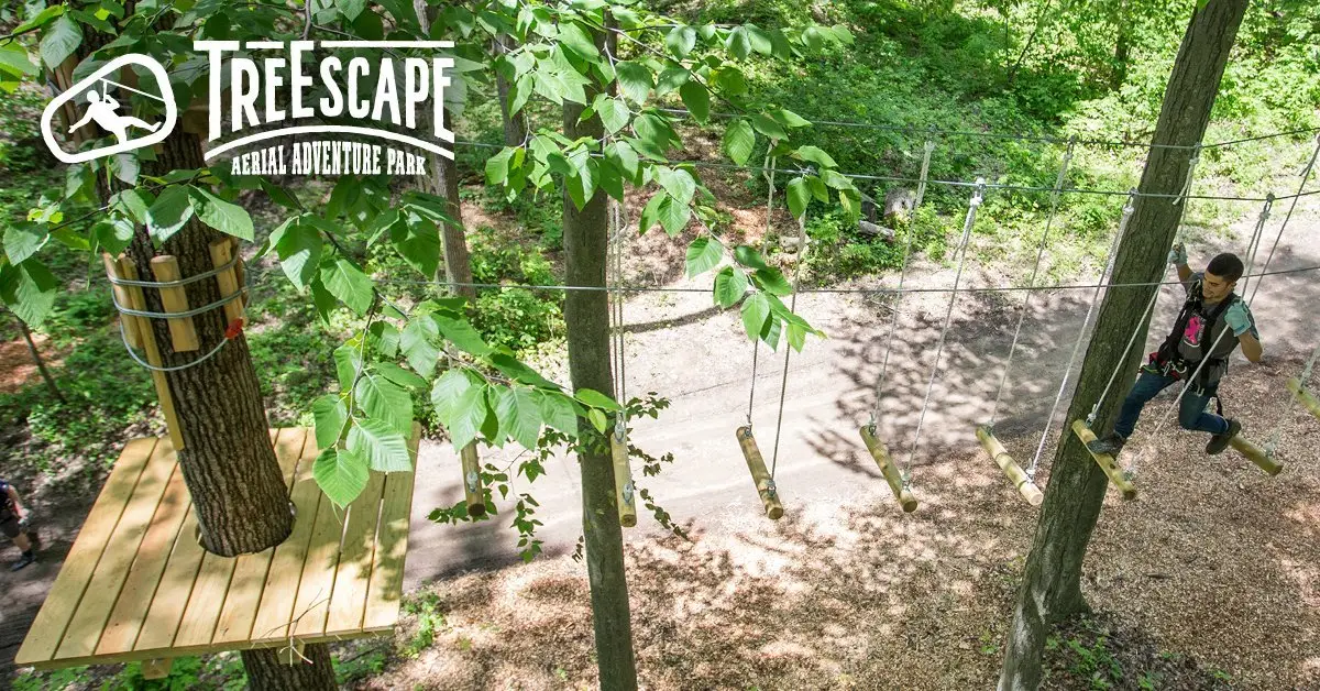 Person navigating an aerial obstacle course among tall trees at TreEscape Aerial Adventure Park in Vernon, NJ, showcasing outdoor adventure and nature at Great Gorge, the aerial obstacle courses originating in military training obstacle courses.