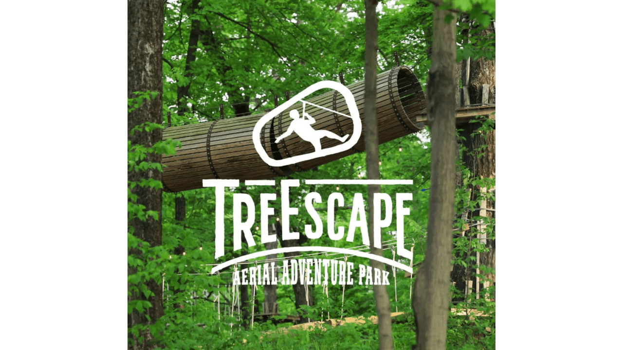 Discover the Thrill of TreEscape Aerial Adventure Park at The Great Gorge, image of the with the logo on it. aerial adventure park
