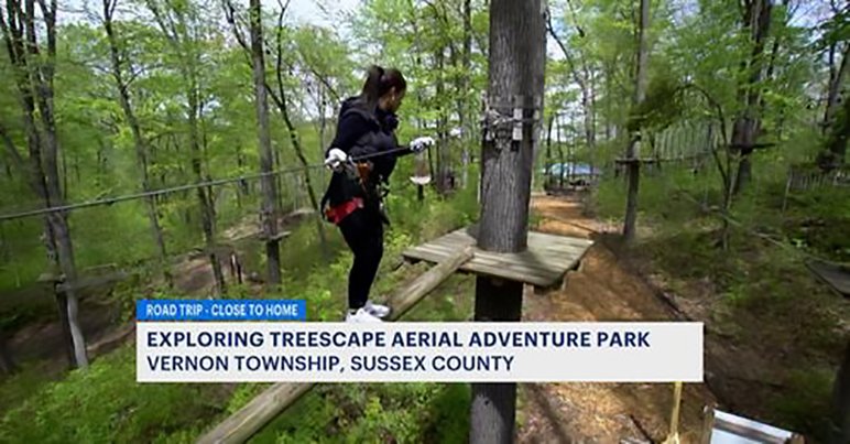 The Raptor Aerial Rope Park Climb on the high ropes at Treescape Aerial Adventure Park