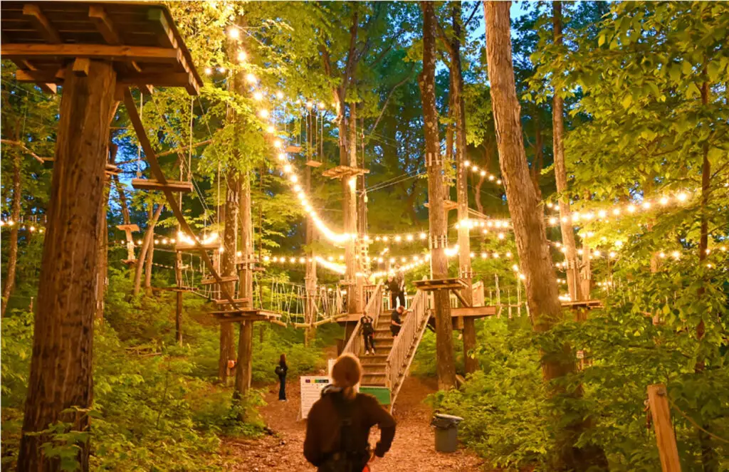 Group of young people navigating the night climb at TreEscape Aerial Adventure Park in Vernon, NJ, working together and enjoying the forest adventure.