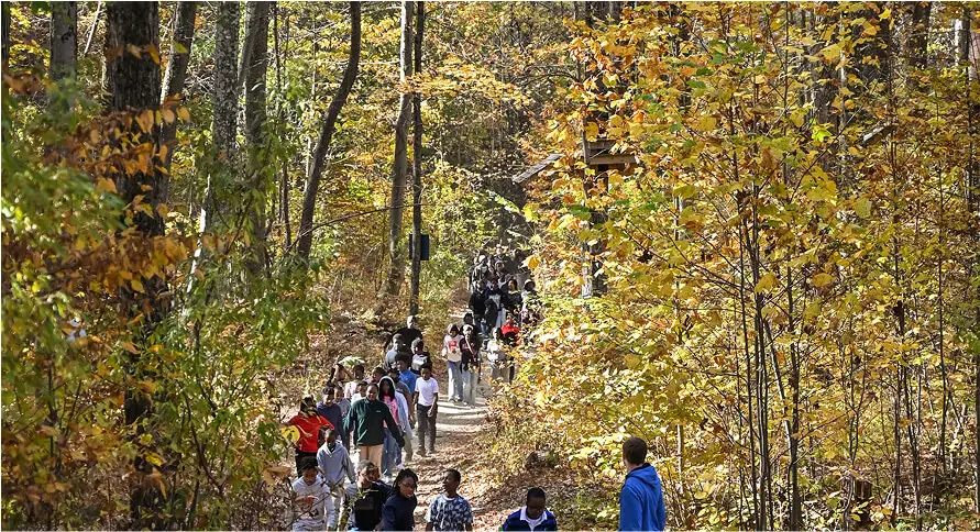 A group of people walking along a scenic path at TreEscape Park in Vernon, NJ, surrounded by nature and enjoying the peaceful outdoor atmosphere.