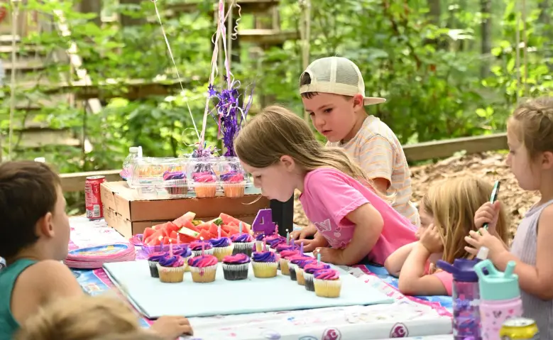 Kids birthday party at TreEscape adventure park Vernon New Jersey, birthday party spots near me. 