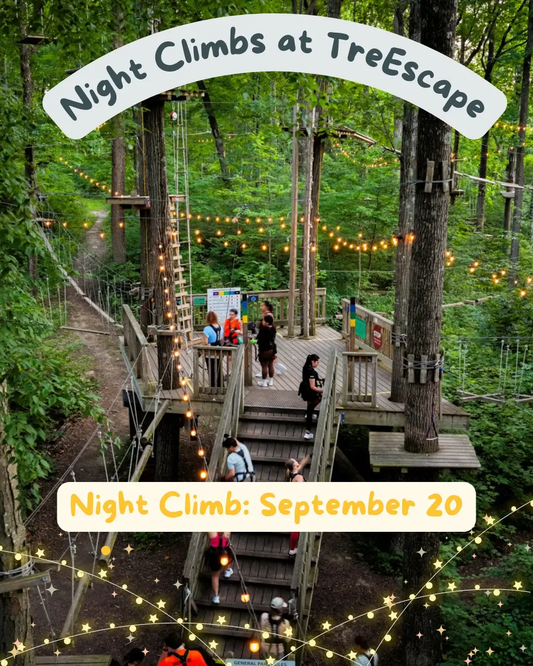 night climbs at TreEscape Vernon