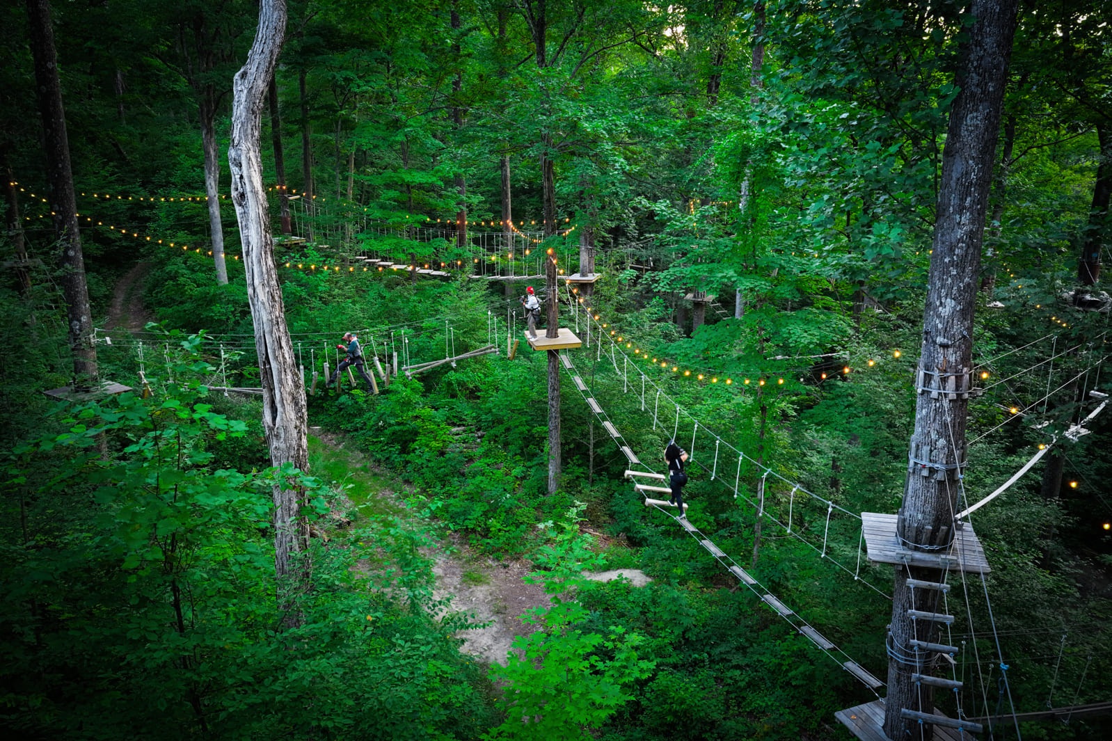 aerial view of TreEscape adventure park Vernon