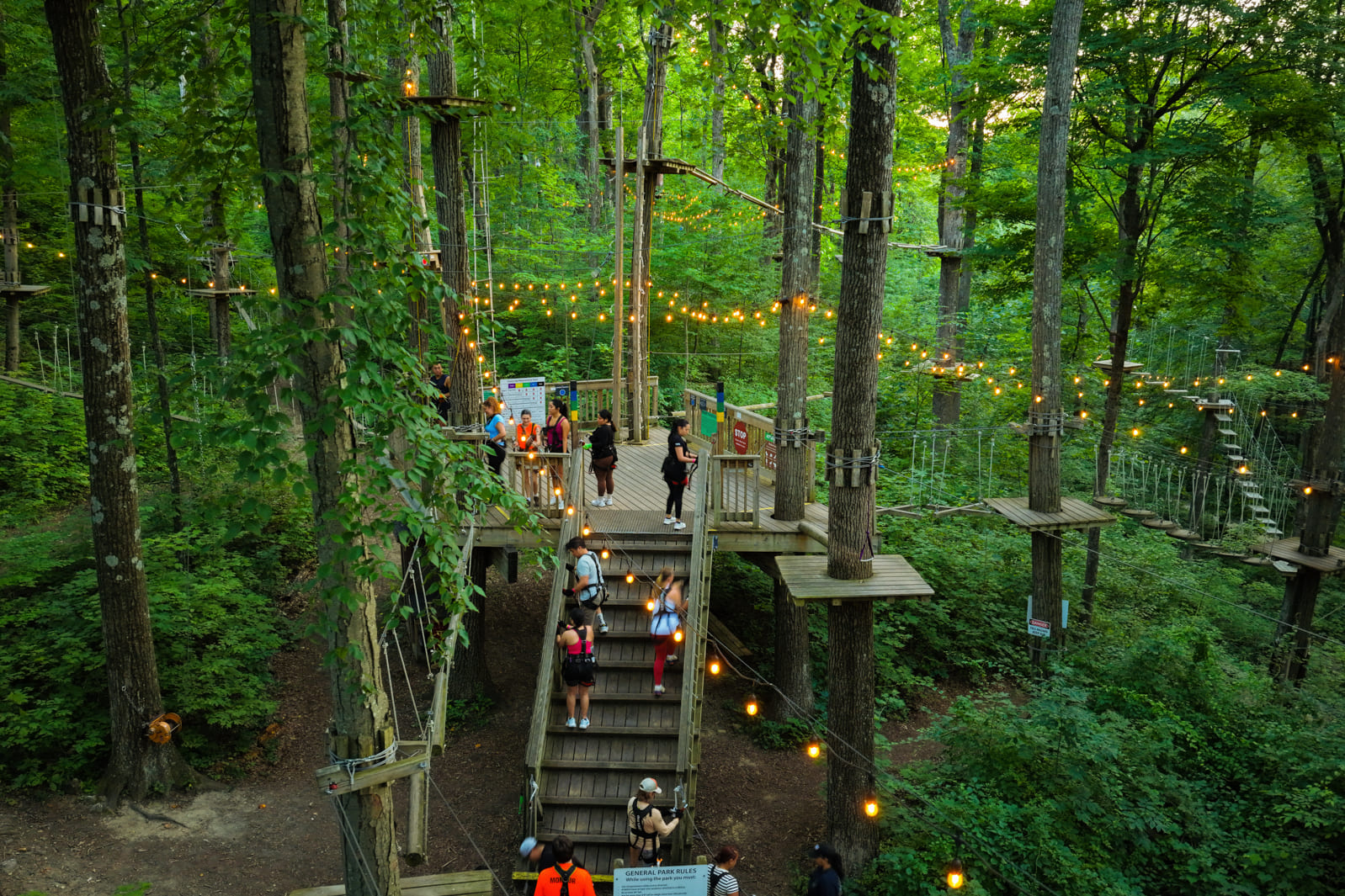 drone view at TreEscape by night