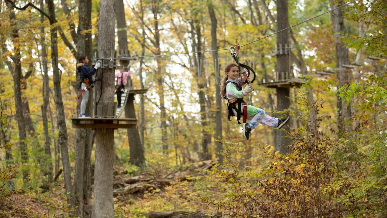 treescape zip lining for kids
